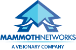 Mammoth Networks - A Visionary Company